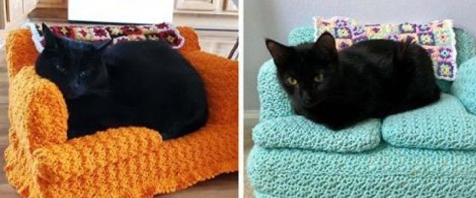 As pessoas estão usando seu tempo livre para fazer pequenos sofás de crochê para seus gatos