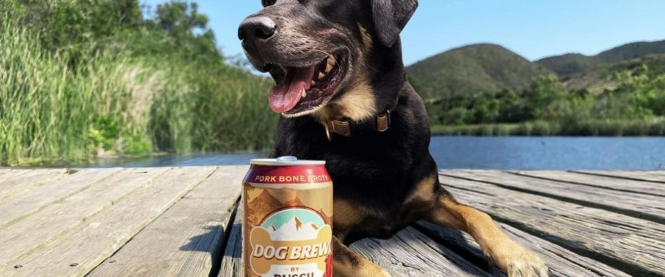 Busch Beer lança a Dog Brew uma cerveja feita especificamente para cães