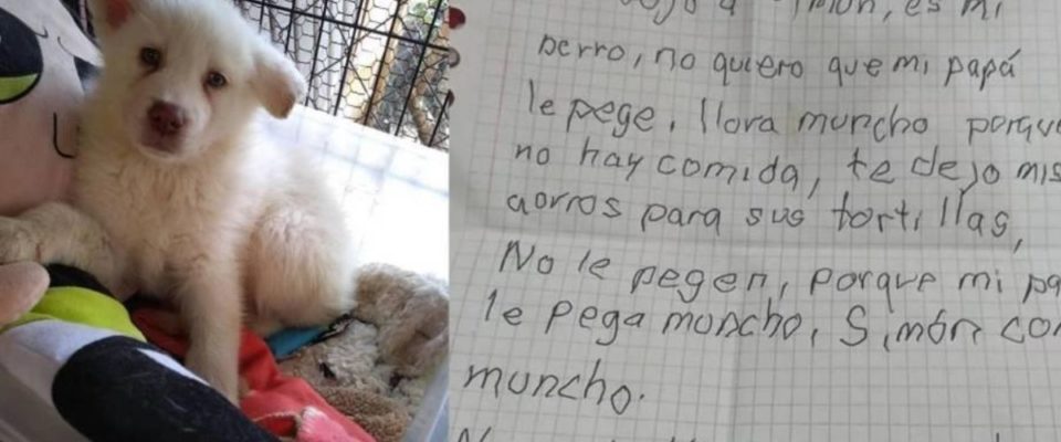 Cão é deixado em abrigo por criança com uma carta emociante