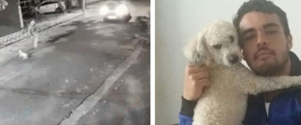 Jovem é atropelado por carro quando salvou o seu cão de estimação