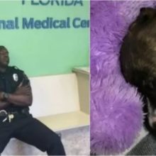 Policial resgata e leva cãozinho no veterinário e acaba cochilando de cansaço