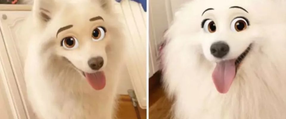 Um novo filtro do Snapchat faz seu cão parecer um personagem Disney
