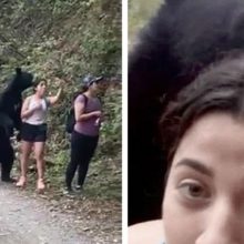 Urso aparece no meio da caminhada e grupo fica tranquilo, mulher tira até uma Selfie com ele