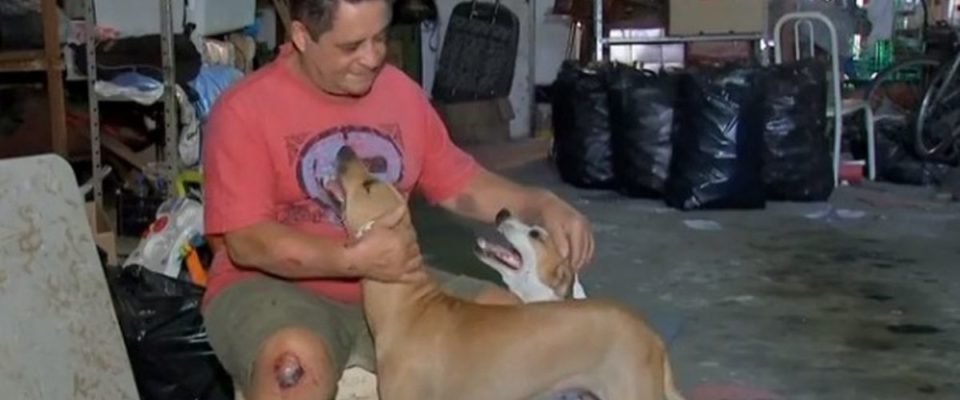 Cães salvam tutor durante um assalto, ele comentou que nasceu de novo