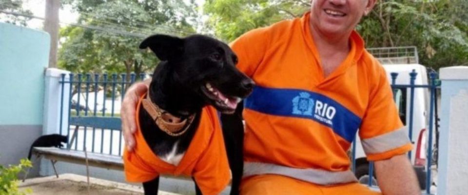 Cão é adotado por gari ganha uniforme e faz sucesso limpando as ruas