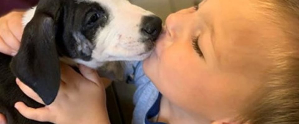 Garotinho com problema nos lábios adota cão com o mesma situação que ele