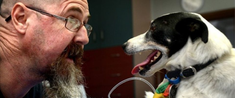 Homem Salva Cachorro Com Respiração Boca-a-Boca e Massagem Cardíaca