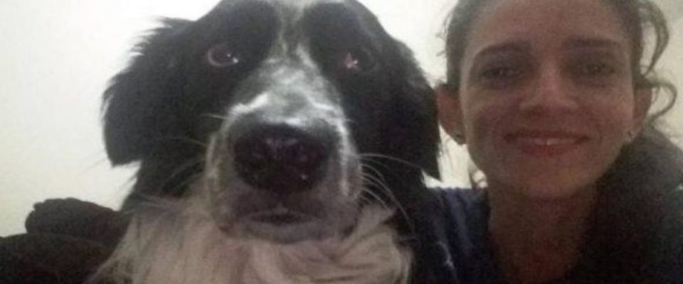 Tutora de cão atacado por abelhas : “Morreu no Dia do Amigo para nos salvar”