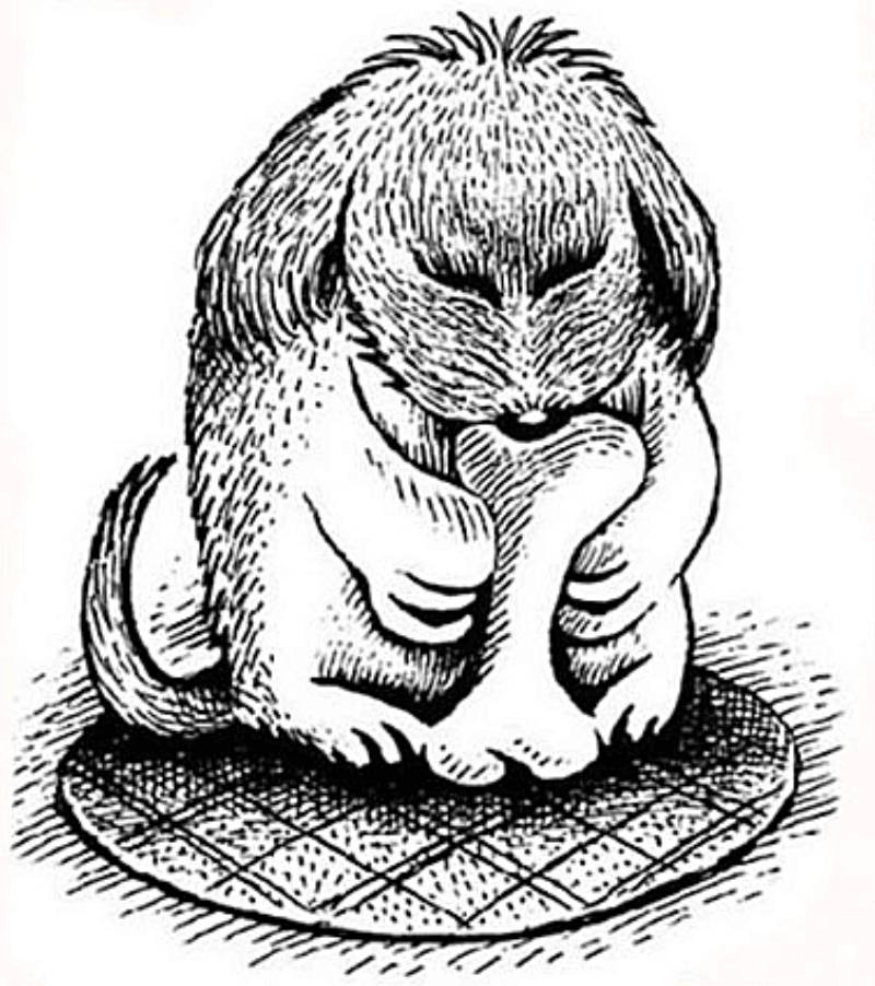 Consegue encontrar o cachorro? Apenas 1 das pessoas conseguem adivinhar este teste Consegue encontrar o cachorro? Apenas 1 das pessoas conseguem adivinhar este teste