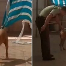 Policial ajuda cão preso em toldo e ganha abraço como forma de agradecimento