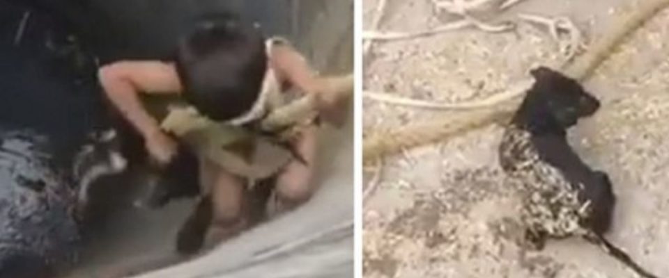 Garotinho mostra coragem e desceu até o fundo de um poço para salvar cachorro