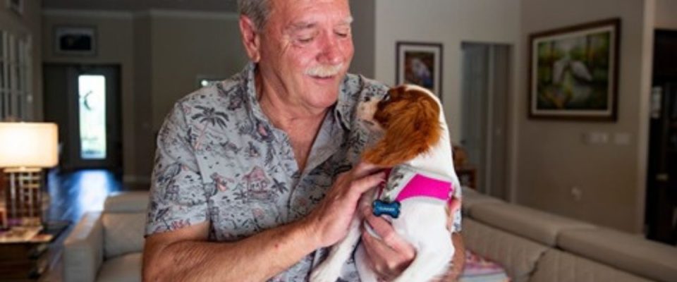 Homem que salvou seu cachorro de crocodilo compartilha atualizações sobre a recuperação do cão
