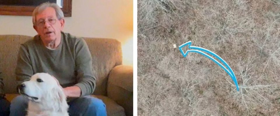 Homem usa drone para resgatar cachorro perdido por 10 dias na floresta