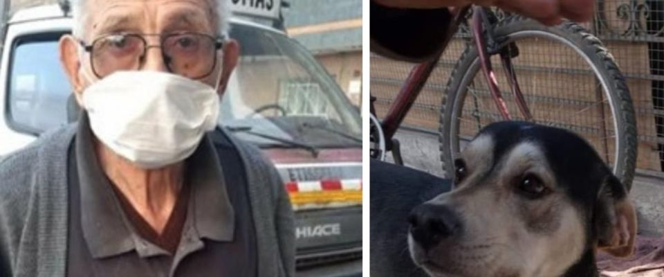 Idoso de 84 anos anda diariamente à procura de seu cachorro