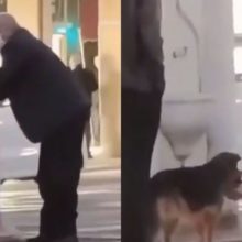 Idoso encontra com um cão de rua e lhe dá de beber com as mãos