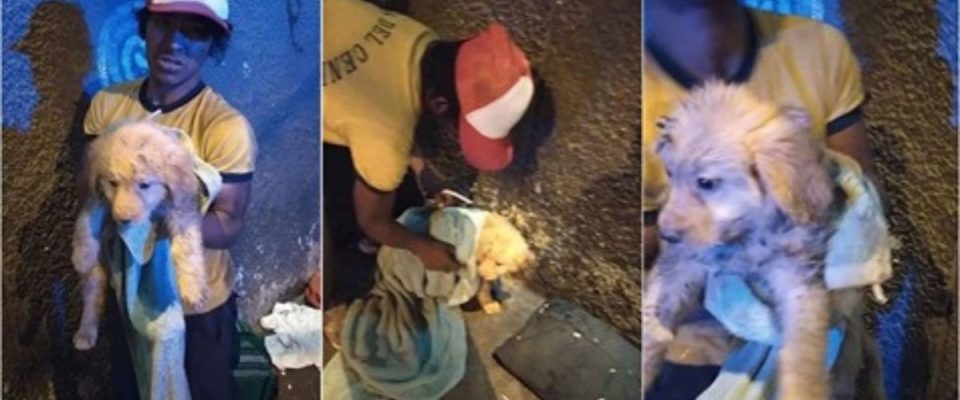 Um jovem morador de rua abre mão da marmita  ganhada para alimentar cachorro que resgatou