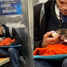 Uma mulher fica emocionada ao ver homem alimentando gatinha resgatado em metrô