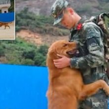 Cão militar se recusa a deixar seu treinador aposentado ir embora