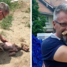 Homem jurou ajudar cãozinho a viver melhor. Depois de 70 dias ele mudou completamente!