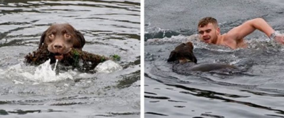 Homem pula em água gelada para resgatar cachorro que estava preso em uma corda