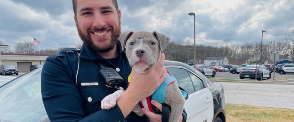 Policial adota cachorro de rua ferido que ele resgatou durante o serviço