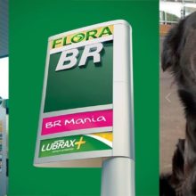 Posto de gasolina em Araraquara adota cachorro com direito a crachá