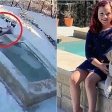 Câmera filma garotinha de 8 anos salvando seu cachorro que caiu em piscina gelada