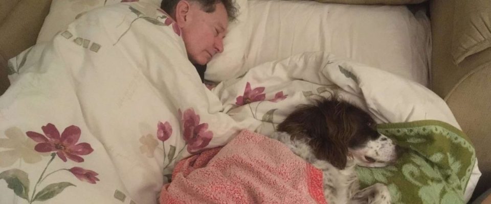 Homem dorme no sofá com seu cachorro idoso para fazer companhia
