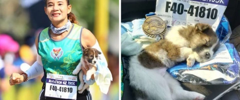 Mulher termina a maratona carregando um cãozinho perdido que resgatou durante a prova