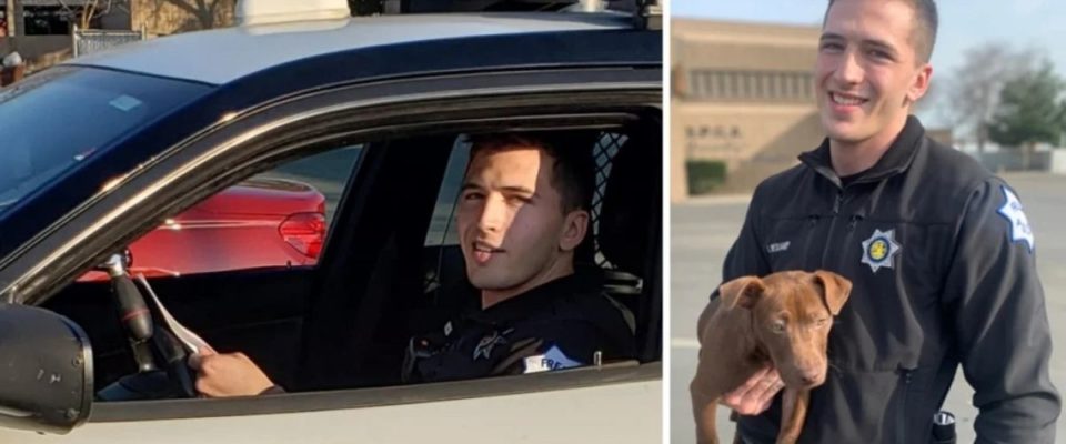 Policial vê cão sendo estrangulado pelo dono – prende o dono e leva o cachorro para casa