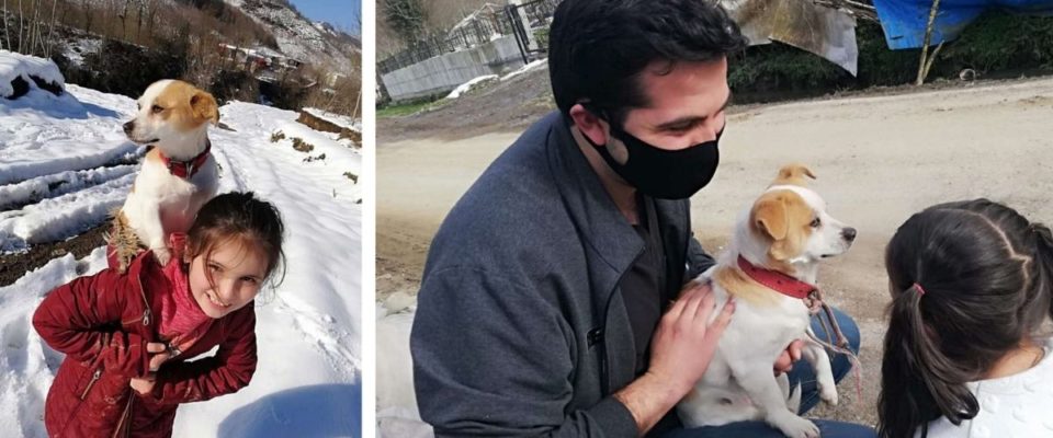 Garotinha se arrasta na neve pesada para conseguir ajuda para seu cachorro doente