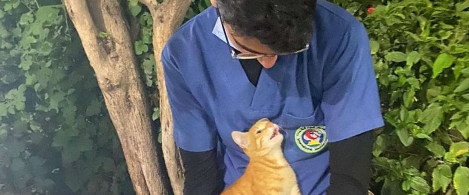 Gato perdido conforta enfermeiro cansado no intervalo de trabalho