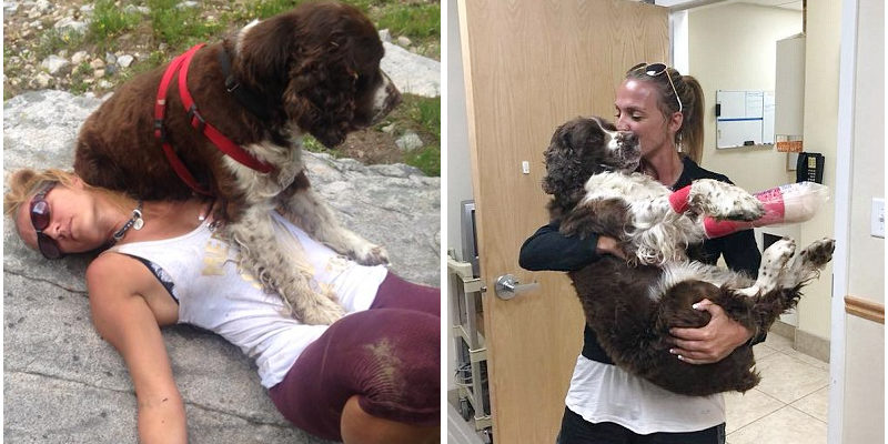 Mulher encontra cão ferido de 25 kg sozinho na montanha e o leva sobre os ombros