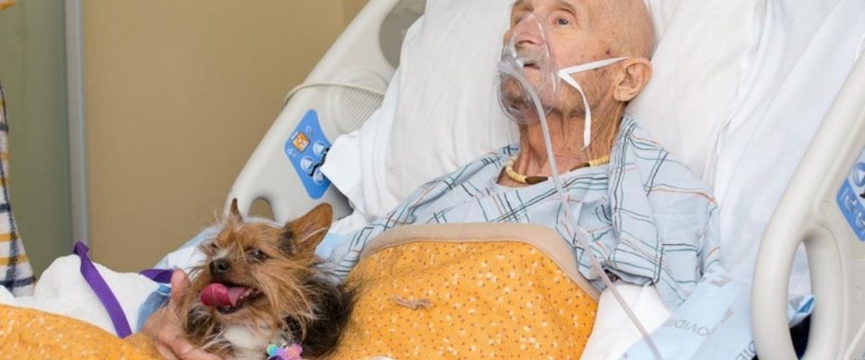 Veterano de Guerra do Vietnã tem o último desejo de se reunir com seu cachorro