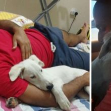 Cachorro adormece imediatamente no ombro do homem depois de perceber que está sendo resgatado