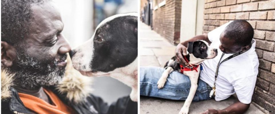 Morador de rua divide quarto minúsculo com um cachorro que adotou das ruas