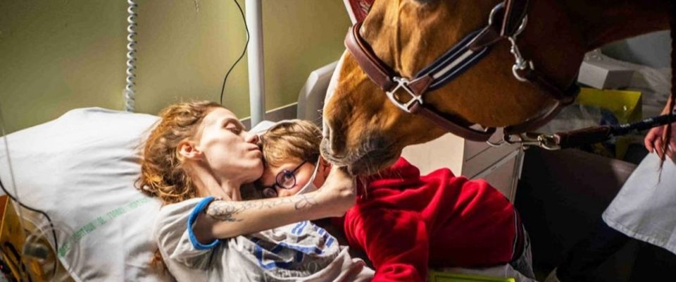 Momento em que um cavalo alivia a dor de uma mãe doente agarrada ao filho