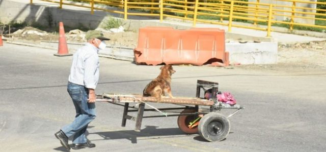 Idoso leva seu cachorro em um carrinho de mão para acompanhá-lo ao trabalho