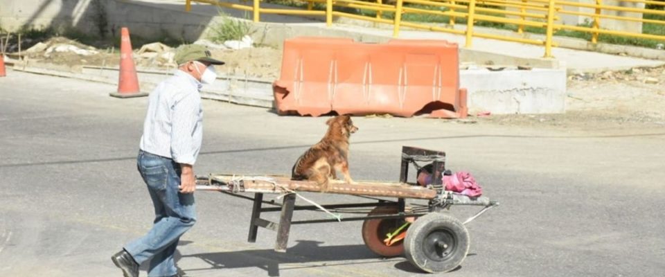 Idoso leva seu cachorro em um carrinho de mão para acompanhá-lo ao trabalho