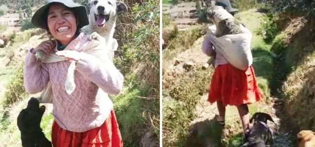 Mulher carrega seu cachorro idoso nas costas para acompanhá-la ao trabalho