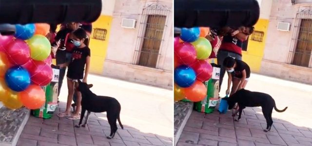 Uma garota secretamente pega ração para dar a um cachorro de rua