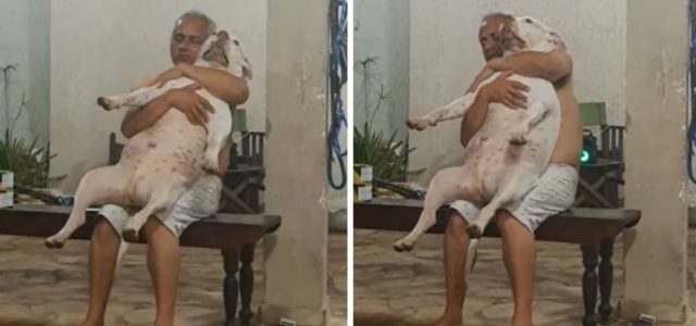 Homem não queria cachorro de jeito nenhum, mas depois de adotar um tudo mudou, ele até canta para ele