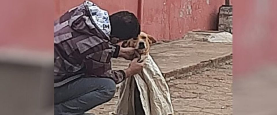 Homem veste camisa em cão abandonado que tremia de frio um lindo gesto de amor