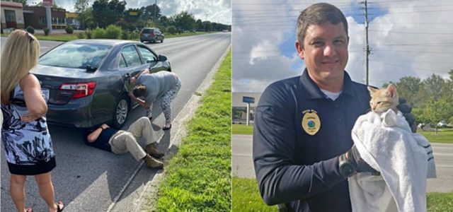 Sargento e capitão da polícia salvam gatinho preso em roda de carro