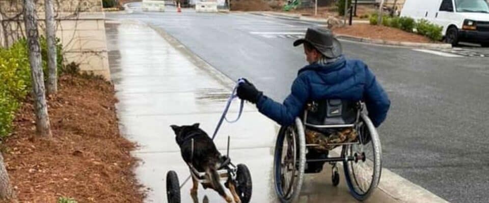 Cachorro com deficiência foi devolvido 4 vezes até encontrar alguém que o entende