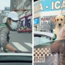 Garoto trabalha na companhia de seu cachorro limpando o para-brisa nos semáforos