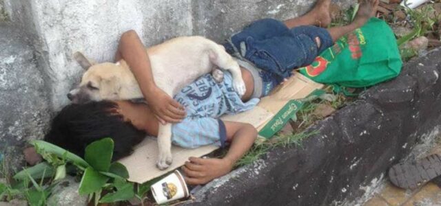 Menino abandonado encontra conforto e amizade em um cachorro que o protege