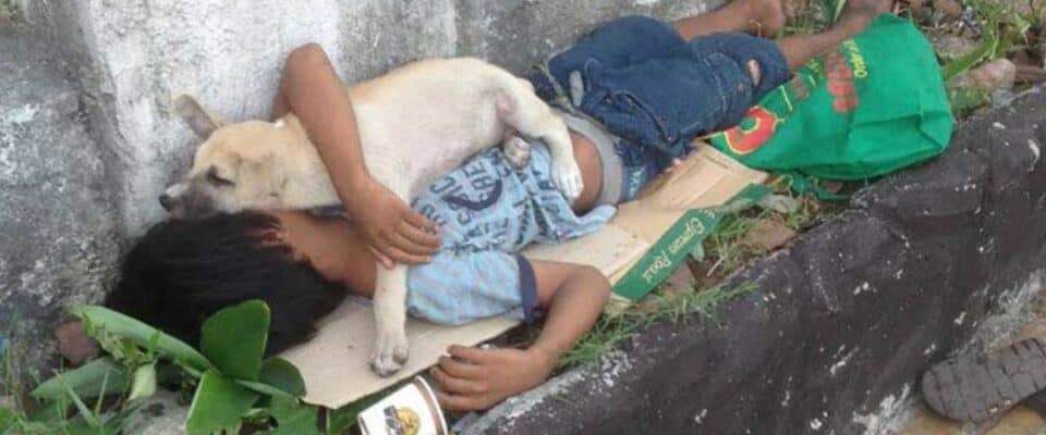 Menino abandonado encontra conforto e amizade em um cachorro que o protege