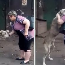 Mulher fica emocionada quando encontrou seu cachorro que foi roubado há 2 anos