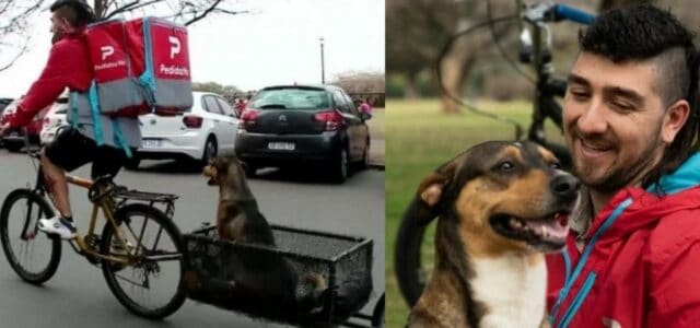 Entregador modifica sua bicicleta para sempre carregar o cachorro que salvou da rua